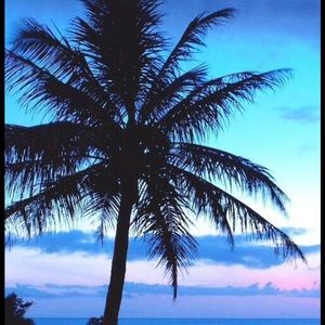 Meet your Posher, Ayonah-kamar